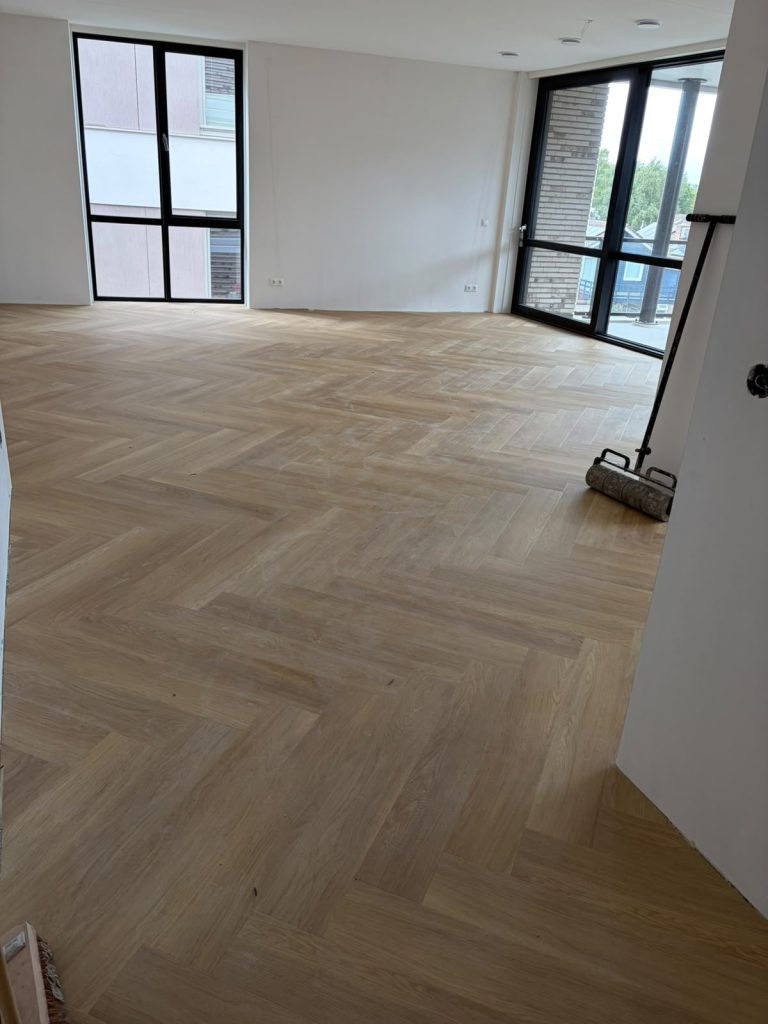 Lichte visgraatvloer appartement met grote ramen