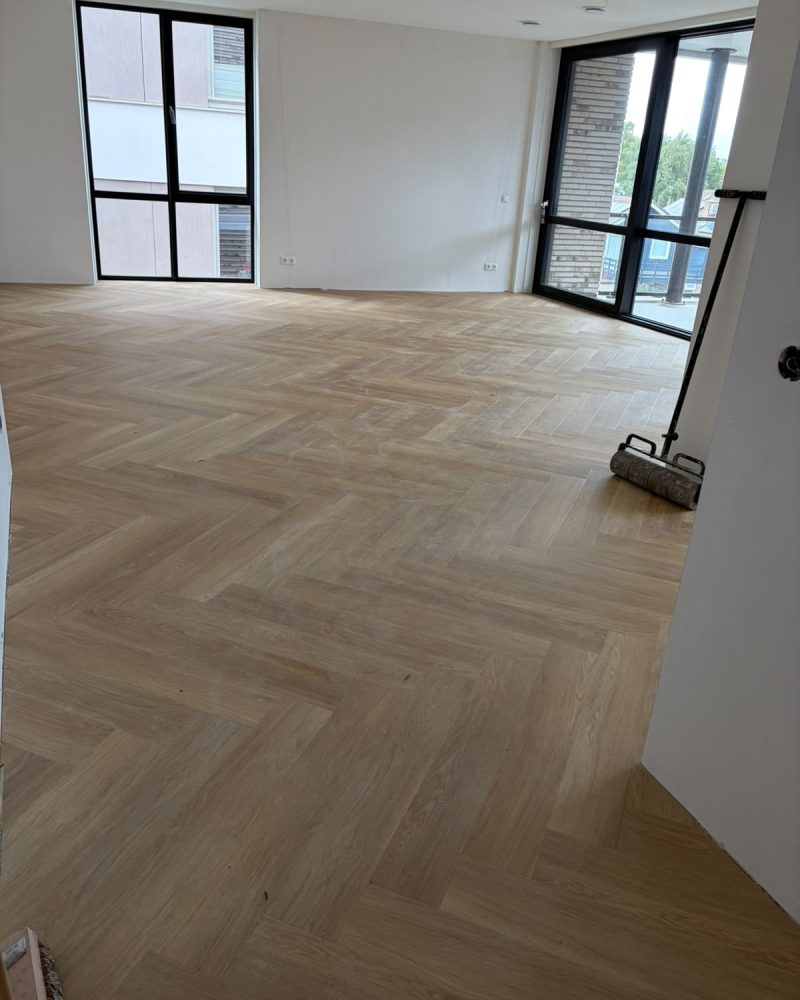Lichte visgraatvloer appartement met grote ramen