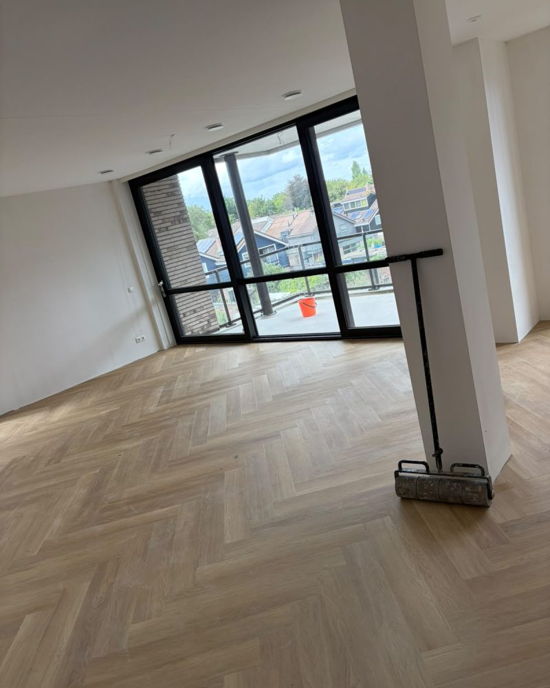 Lichte visgraatvloer appartement met raampartij